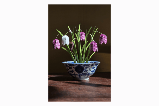 Flat pack paper Snake's Head flowers
