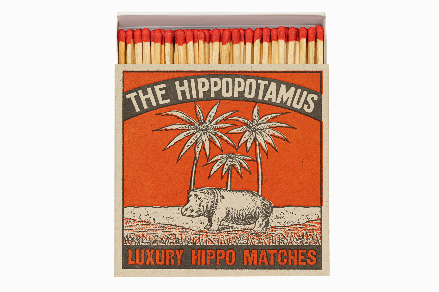 Matchs d'hippopotames