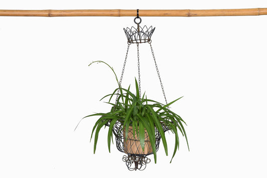 Metal wire hanging basket